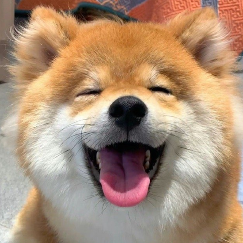 叫醒耳朵 | 不再犯困 搬砖也元气满满