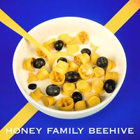 Honey Family BeeHive Project Vol.2