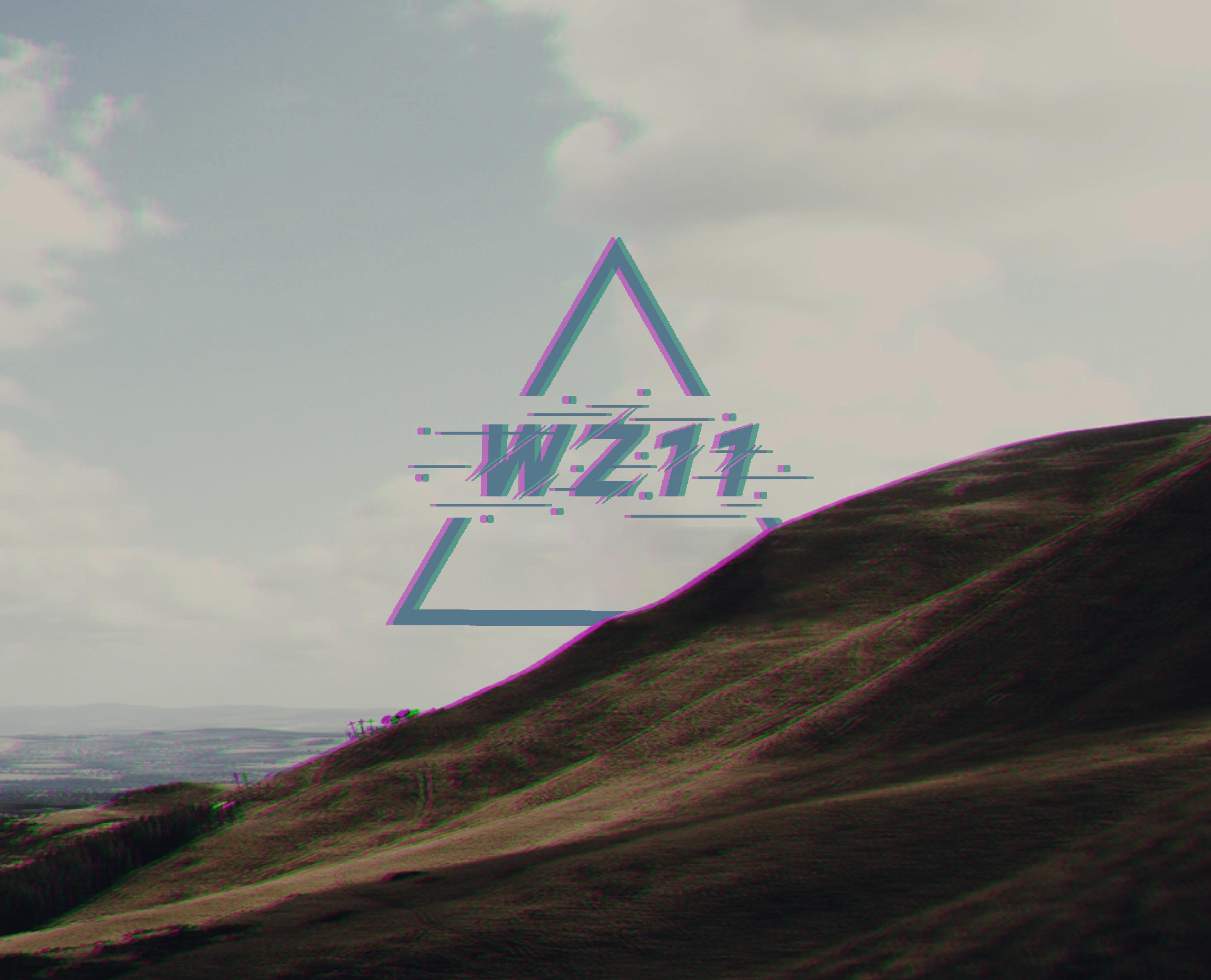 Wz11