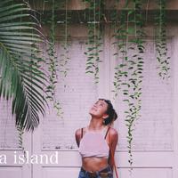 Ola island