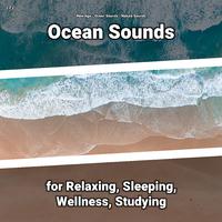 z Z z Ocean Sounds for Relaxing, Sleeping, Wellness, Studying