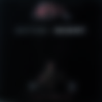 Mother Night
