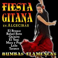 Fiesta Gitana En Algeciras. Rumbas Flamencas