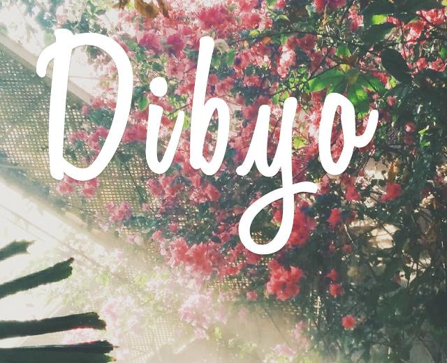 Dibyo