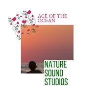 Nature Sound Studios - Ace of The Ocean