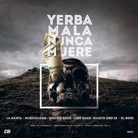 Yerba Mala Nunca Muere (Remix)