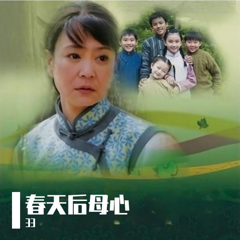 星星的愿望封面