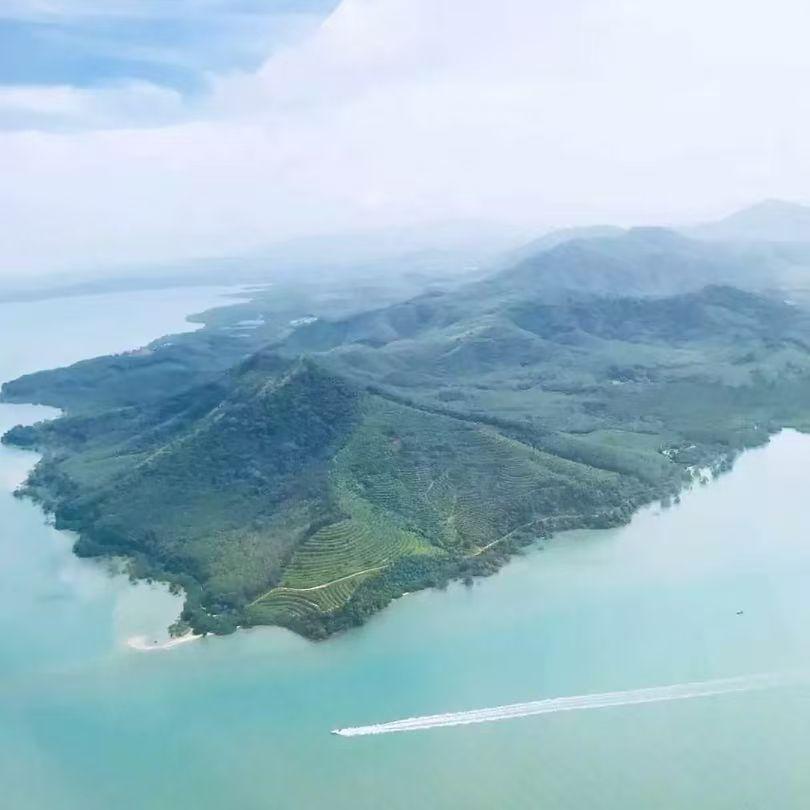 星河之约封面