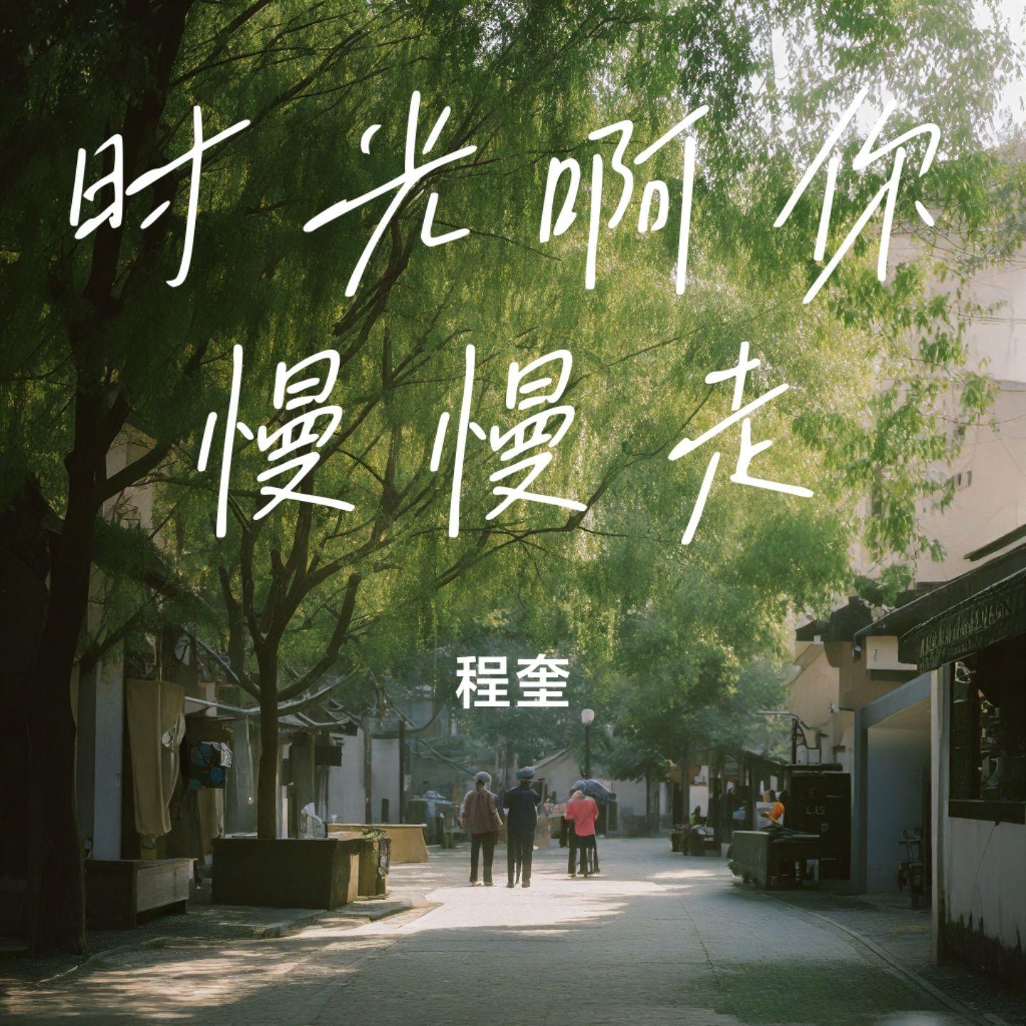 时光啊你慢慢走 - 程奎封面