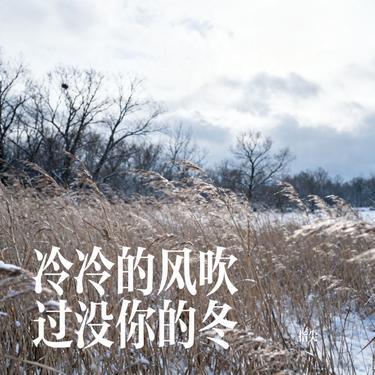 冷冷的风吹过没你的冬 (Cover 草原兄弟)封面