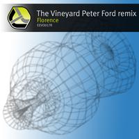 The Vineyard - Peter Ford Remix