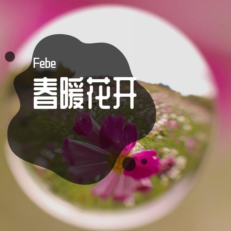 爱的期限封面
