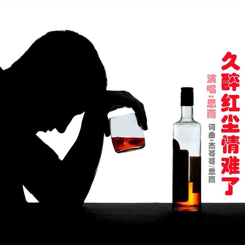 久醉红尘情难了封面