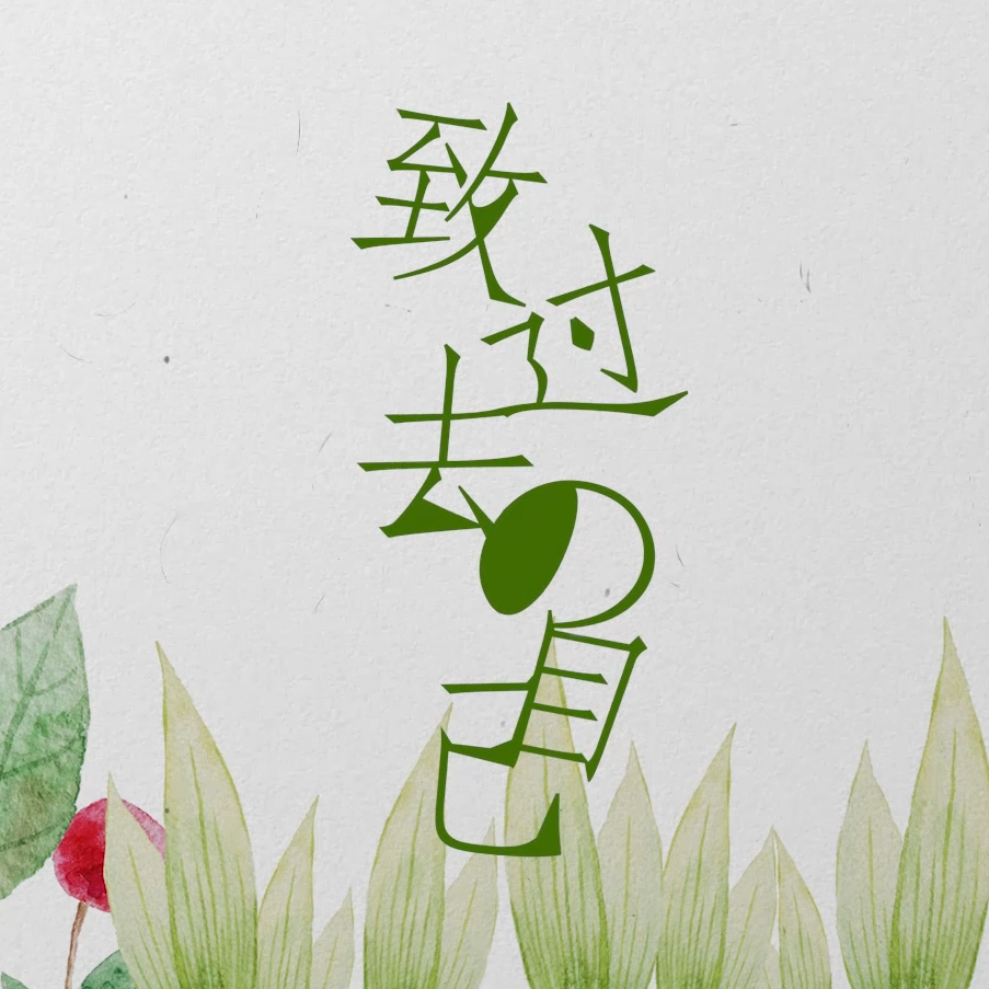 致过去的我封面
