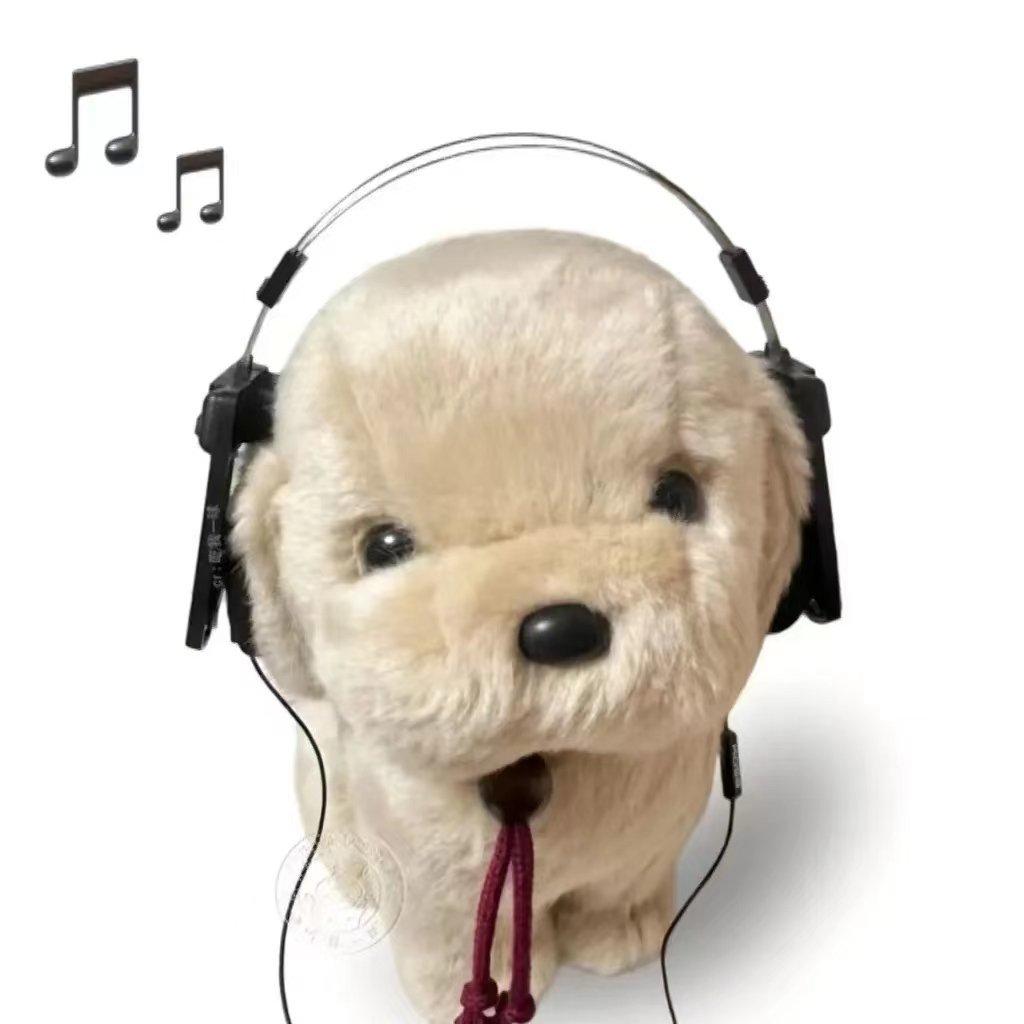 我们一生中会失去许多东西