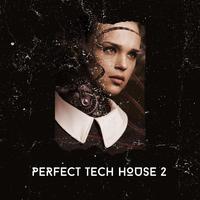 Perfect Tech House, Vol. 2