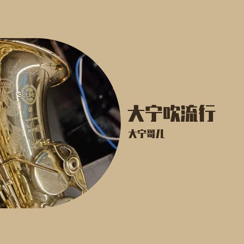 爵士版-人生的旋转木马封面