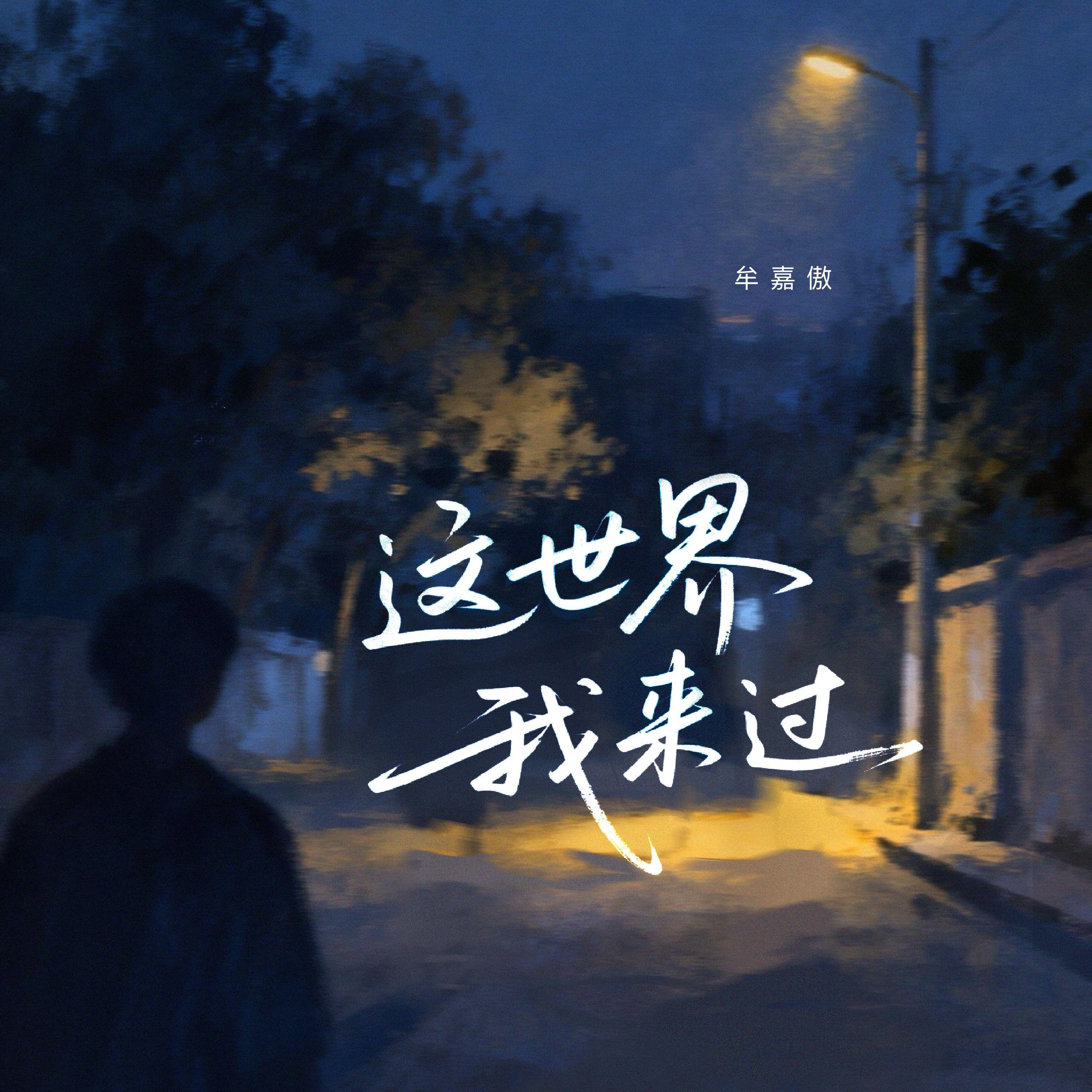 这世界我来过封面