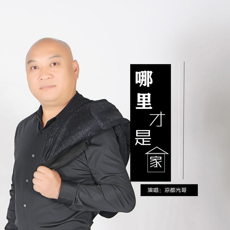 爱的港口封面