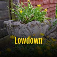 Lowdown