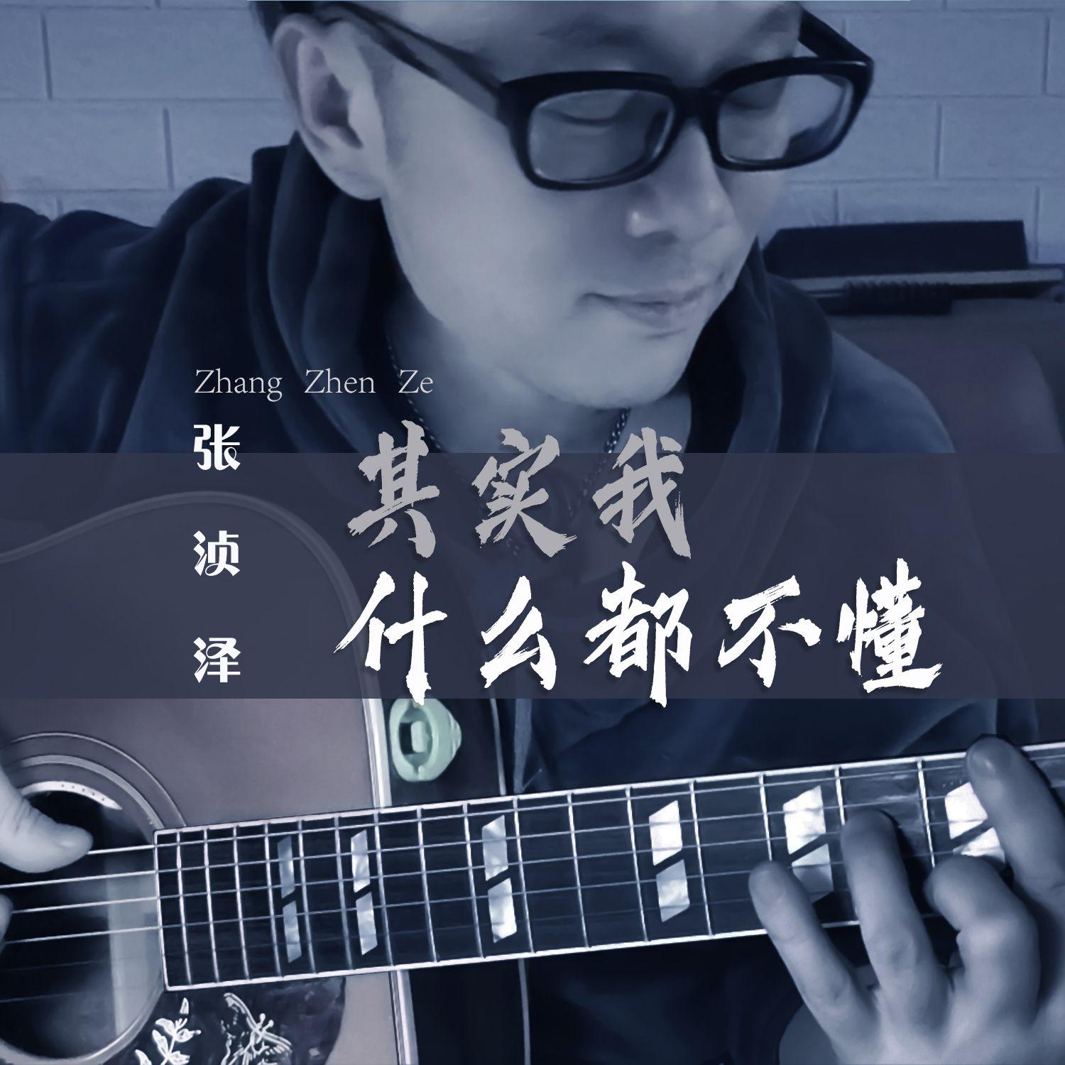 其实我什么都不懂（伴奏）封面
