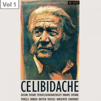 Sergiu Celibidache, Vol. 1