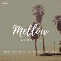 Mellow Moments - Tender Easy Going And Calm Pop Vocal Songs, Vol. 43