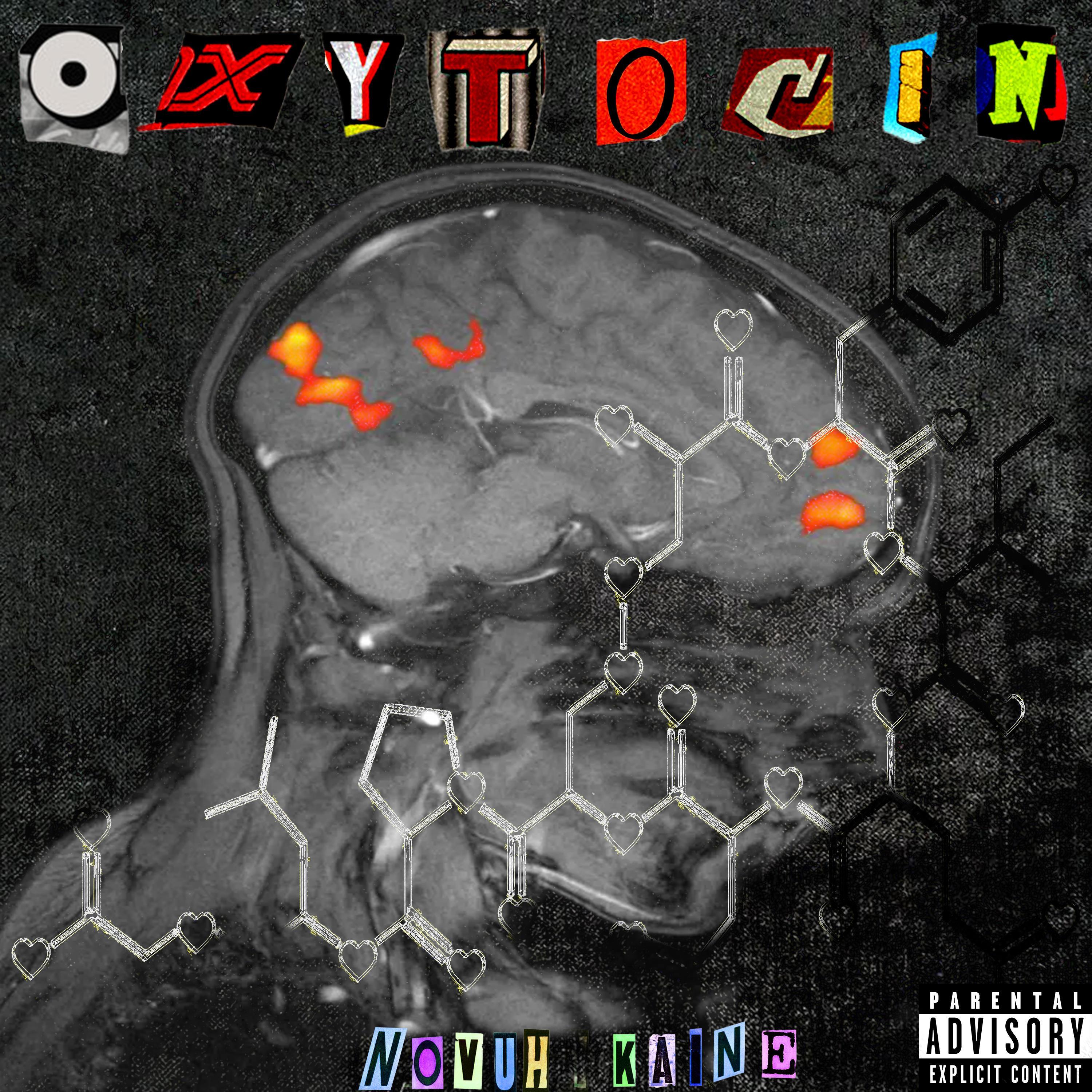 Confidence (feat. Shayla Hamady)