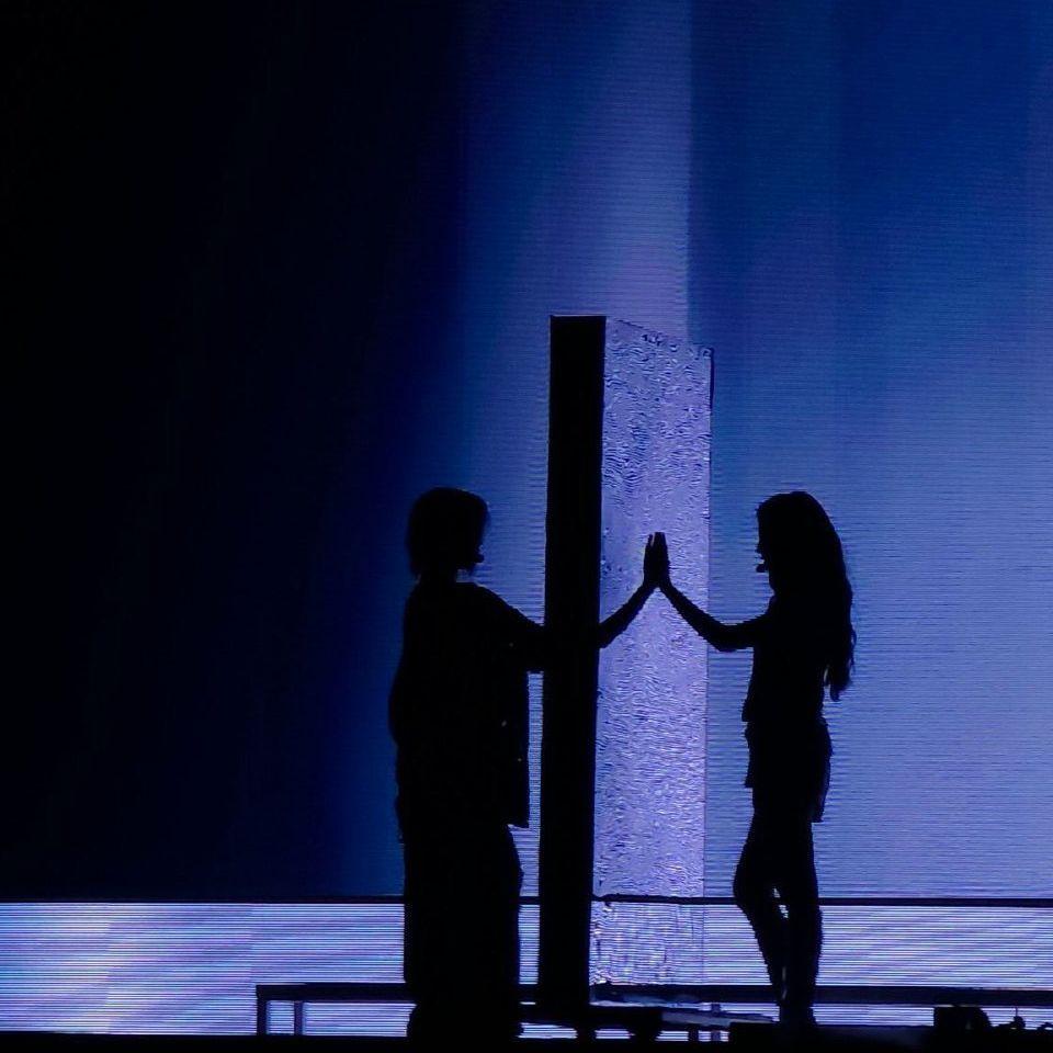 กุหลาบ（玫瑰）