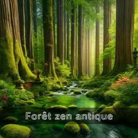 Forêt zen antique