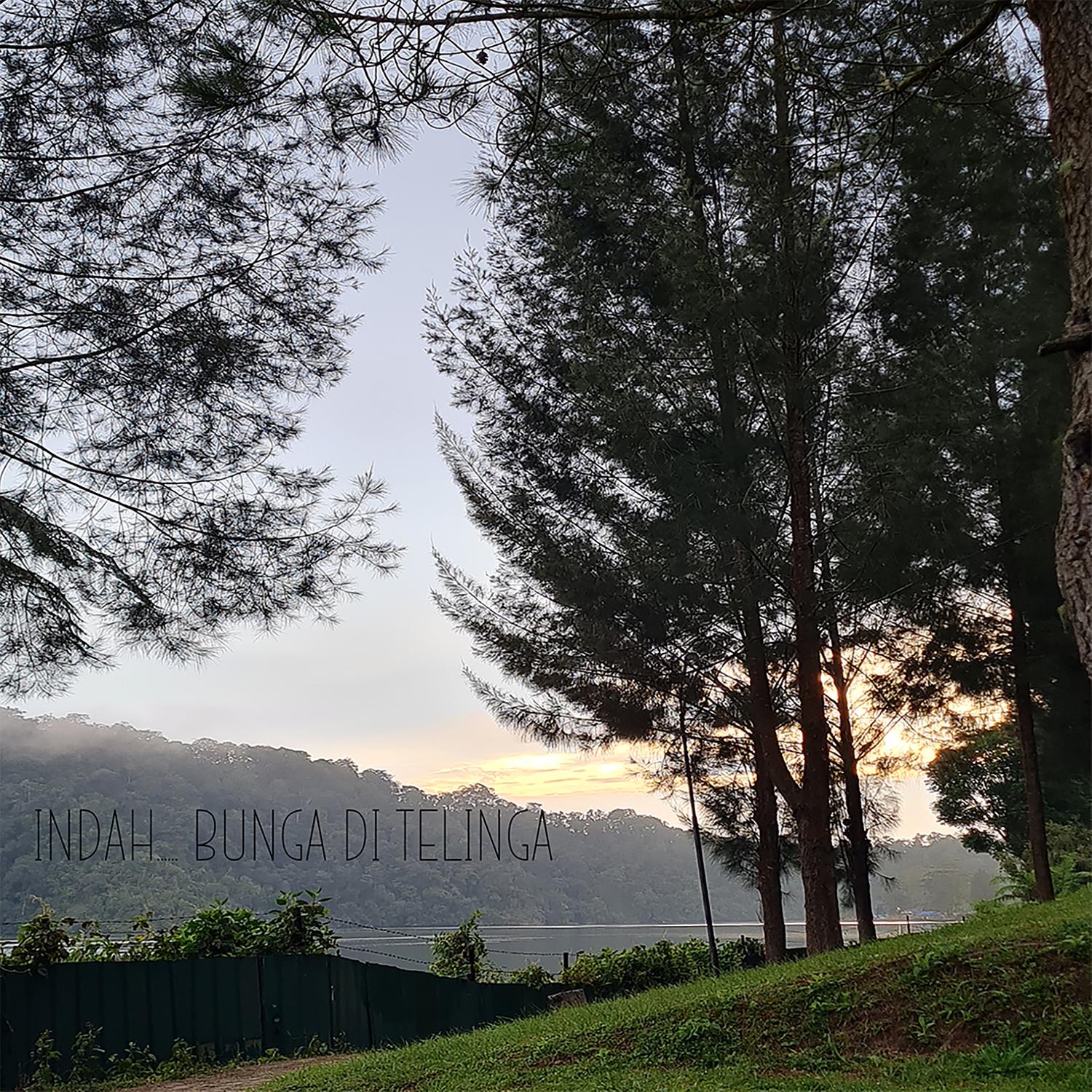 Indah, Bunga Di Telinga