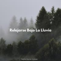 Sueños Diurnos Lluviosos: Relajarse Bajo La Lluvia