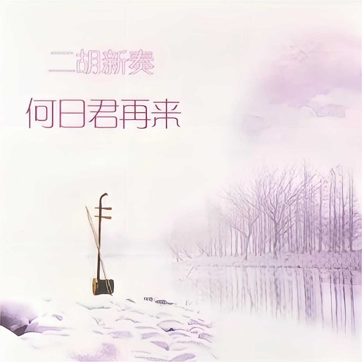 月亮代表我的心封面