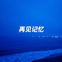 再见记忆