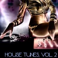 House Tunes, Vol. 2