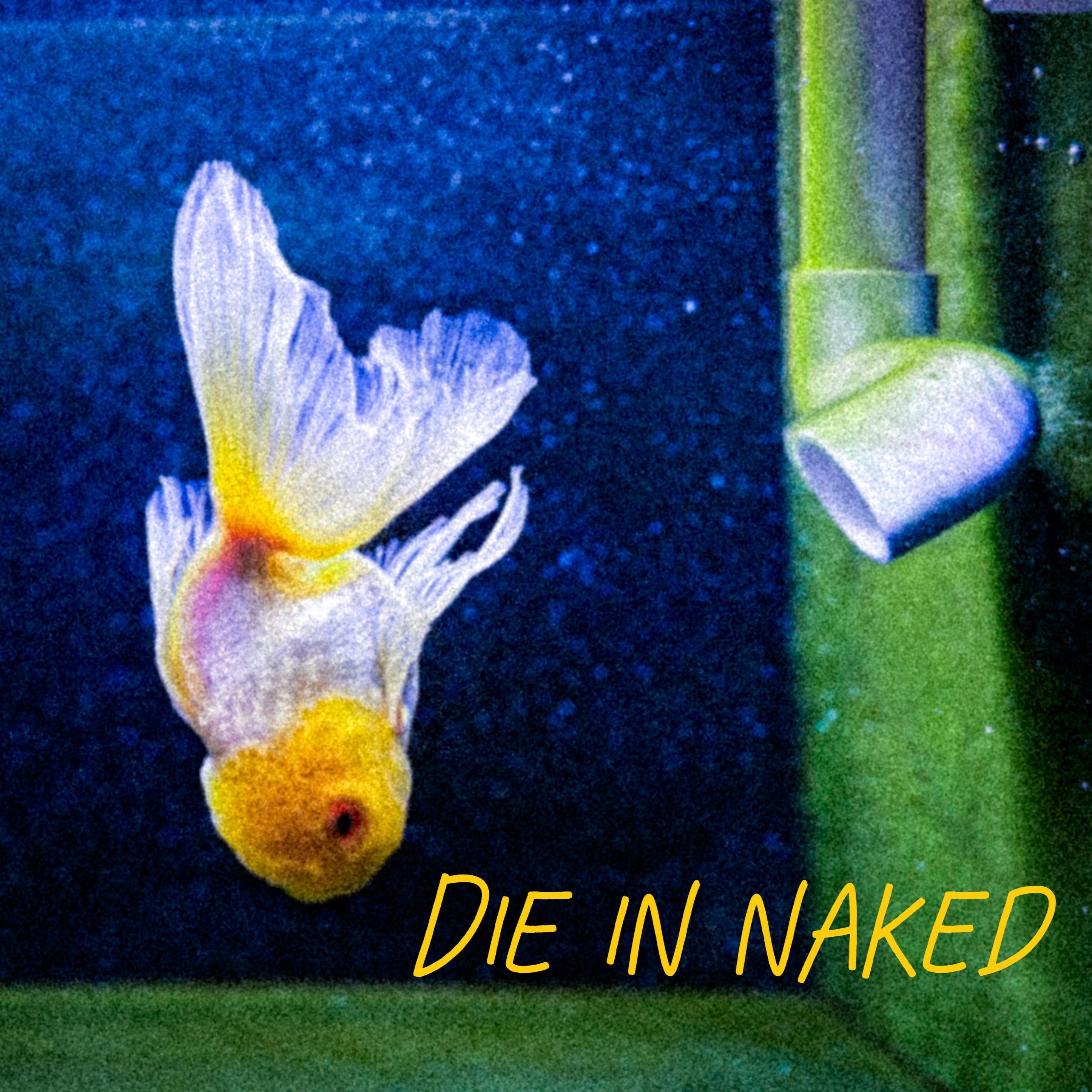Die in naked