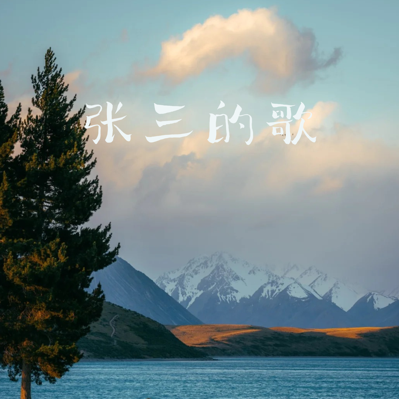 张三的歌(蓝调微醺)封面