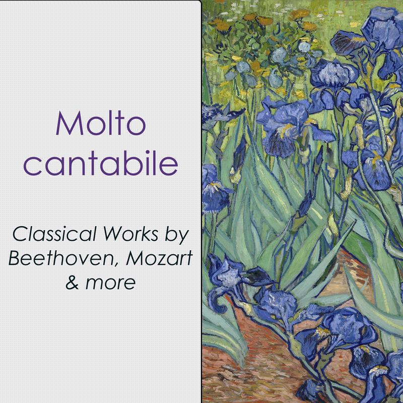 The Sleeping Beauty, Suite, Op. 66a, TH 234:5. Valse