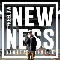 Newness(뉴니스)