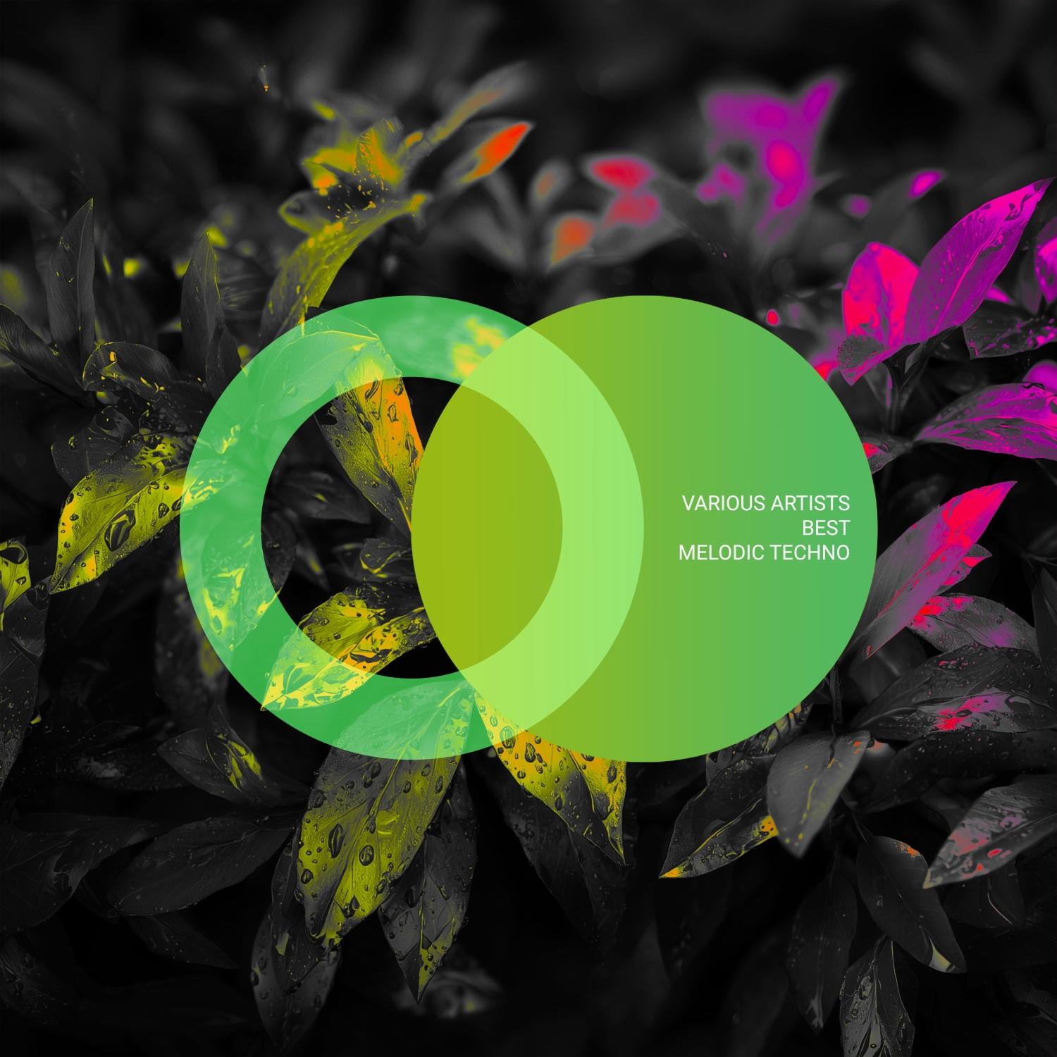 The One (Indifferent Guy Remix)