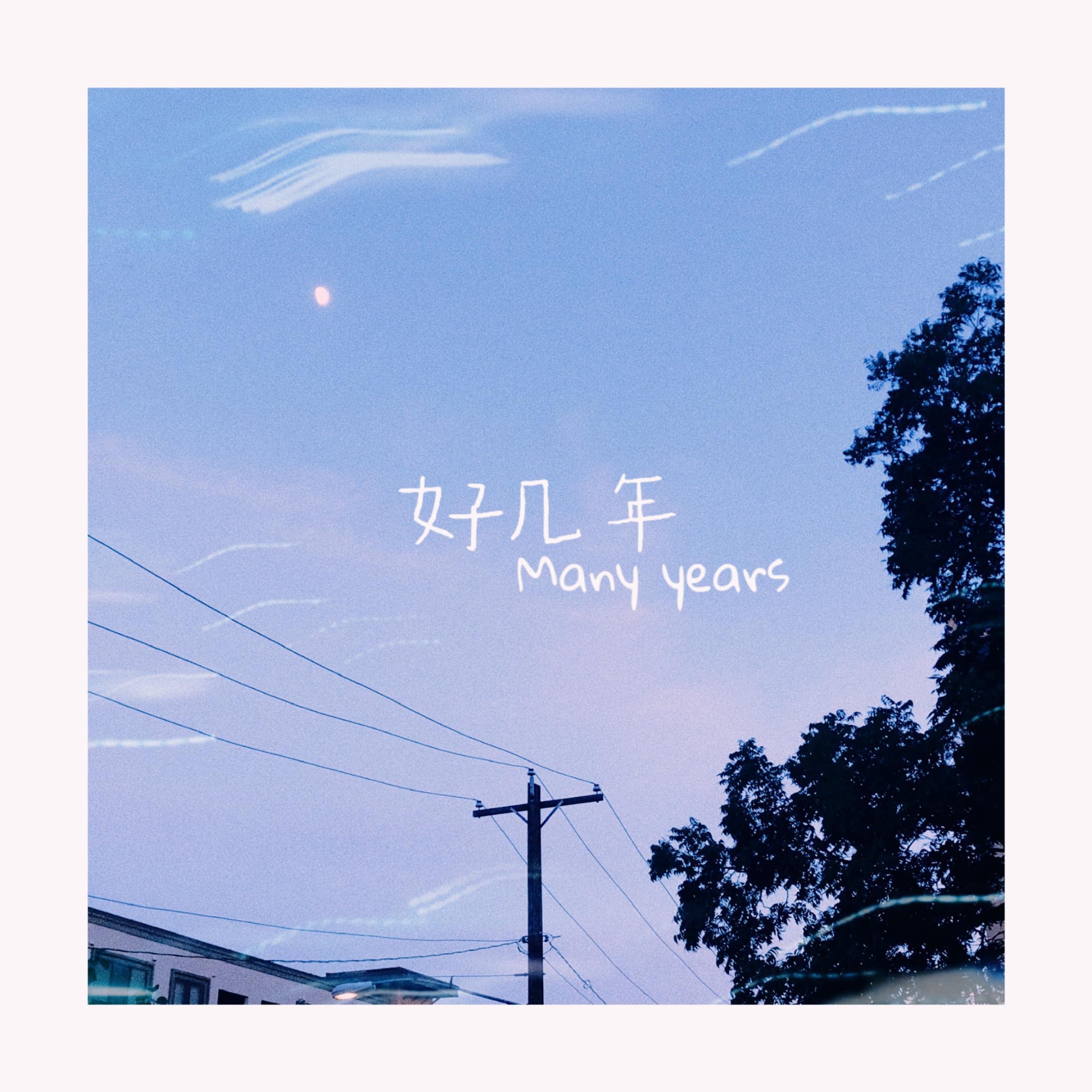 好几年 - 林悲封面
