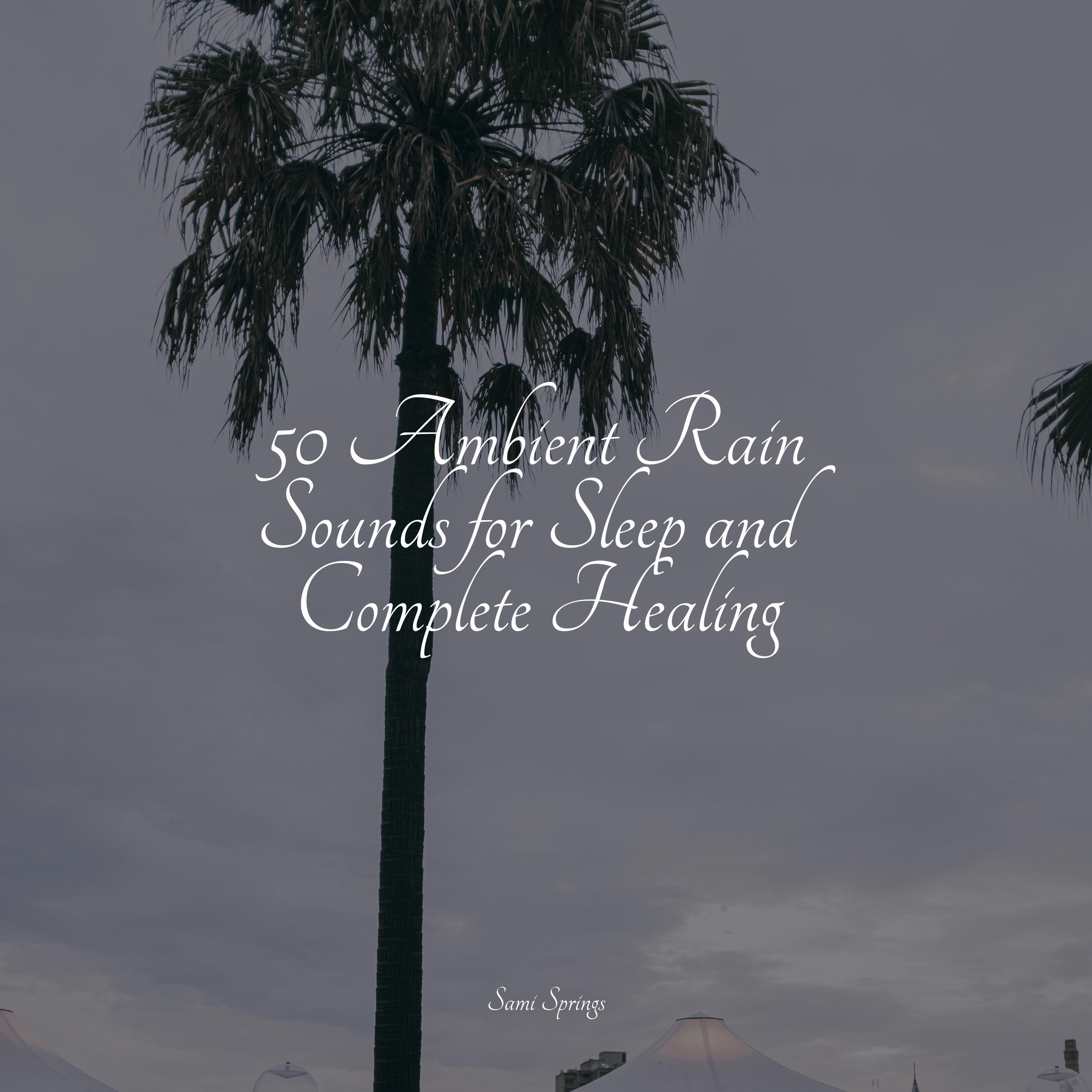 50 Ambient Rain Sounds for Sleep and Complete Healing - Japanese ...