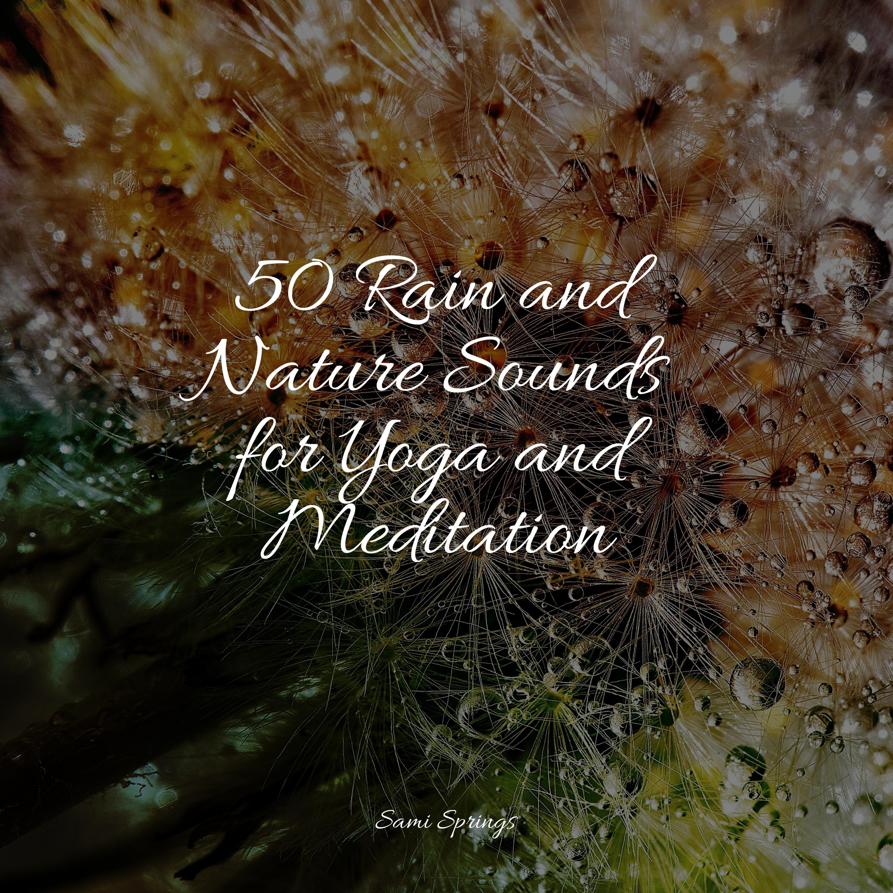 50 Rain and Nature Sounds for Yoga and Meditation - Massage Therapy ...