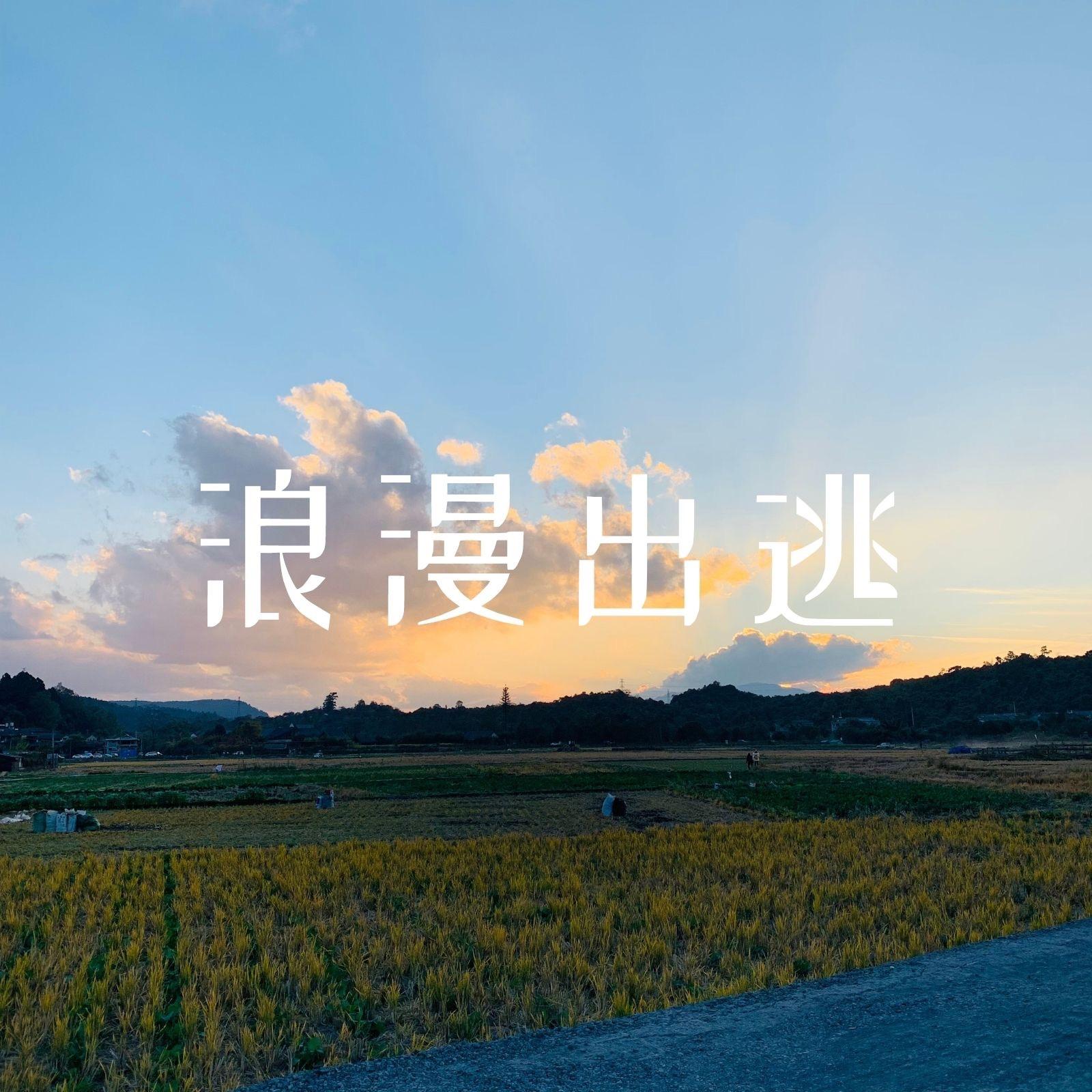 浪漫出逃（piano version）封面