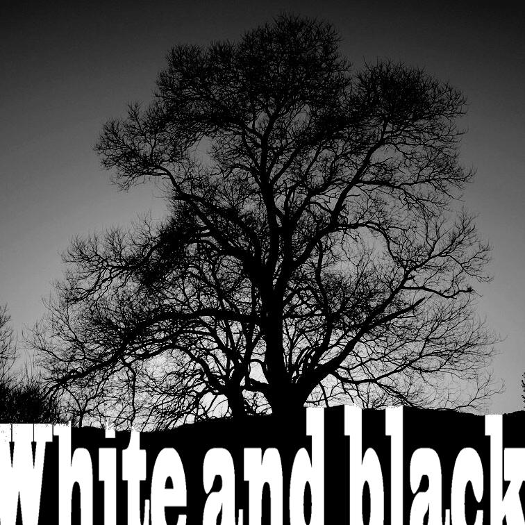 白与黑(prod by liljet)