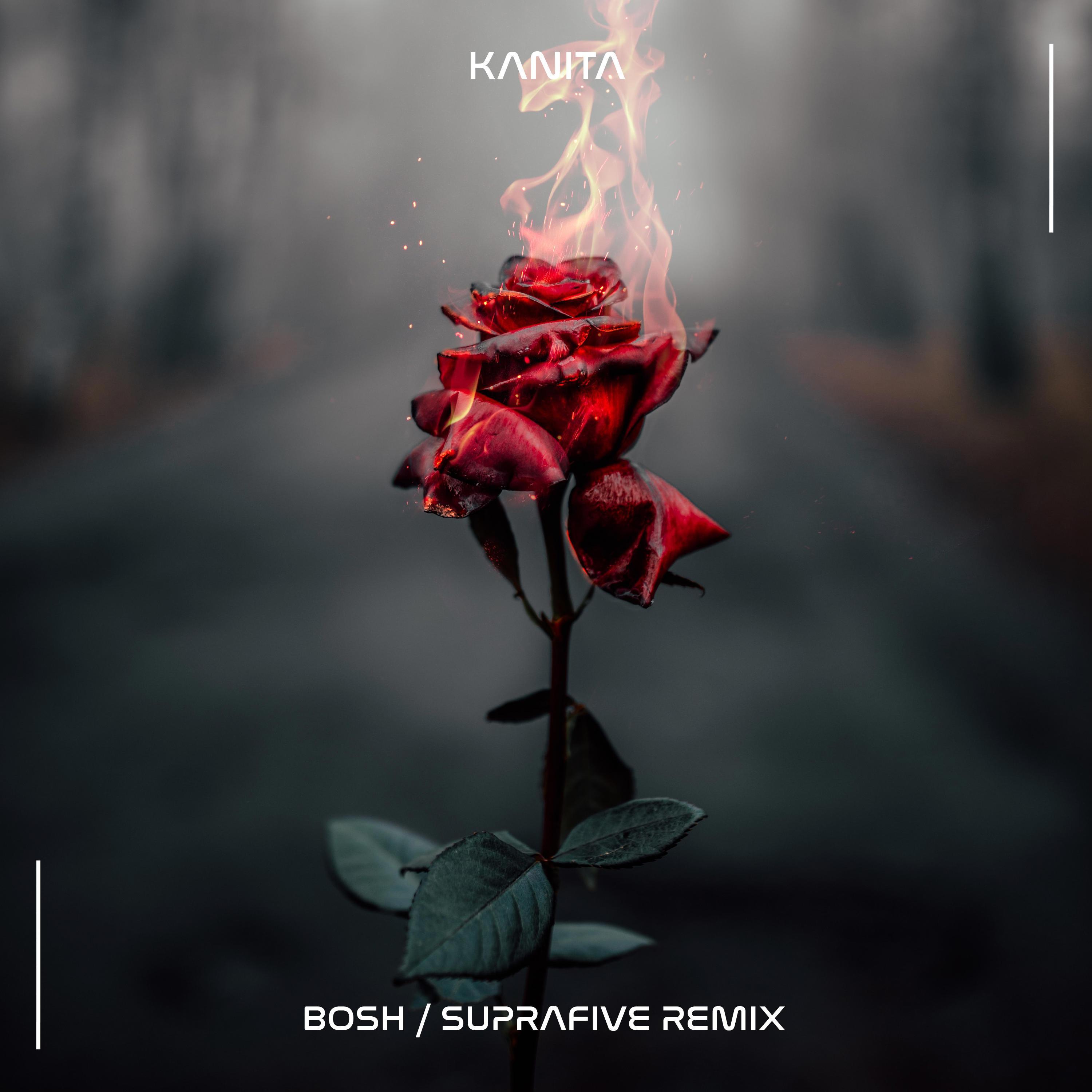 Bosh (Suprafive Remix Radio Edit)