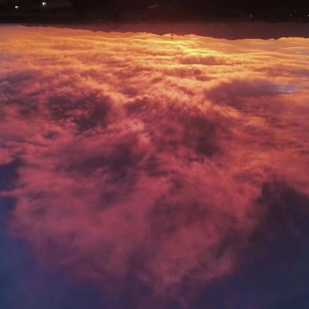 沙漠骆驼-翻唱(展展与罗罗）