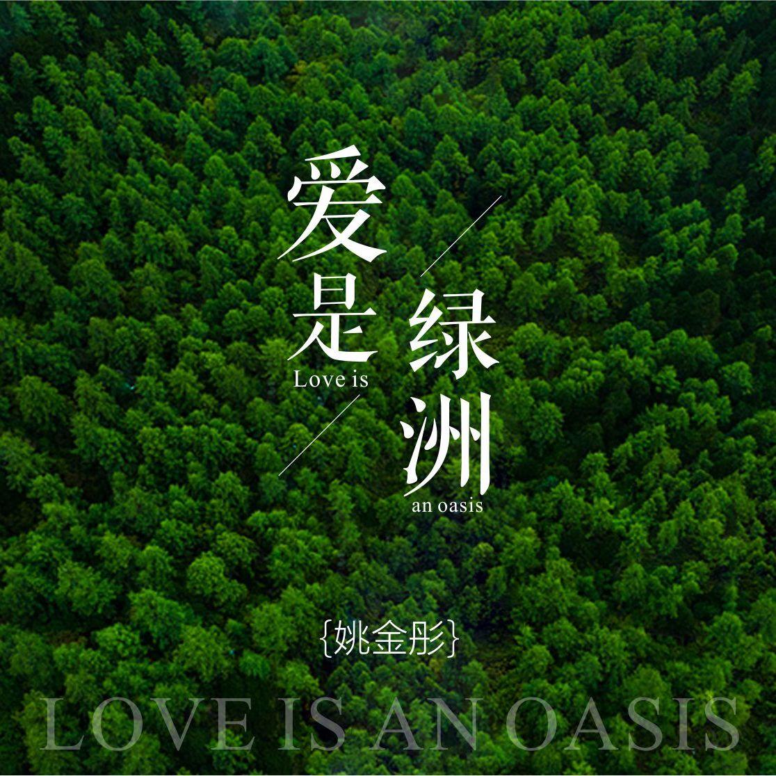 光亮 - 姚金彤封面