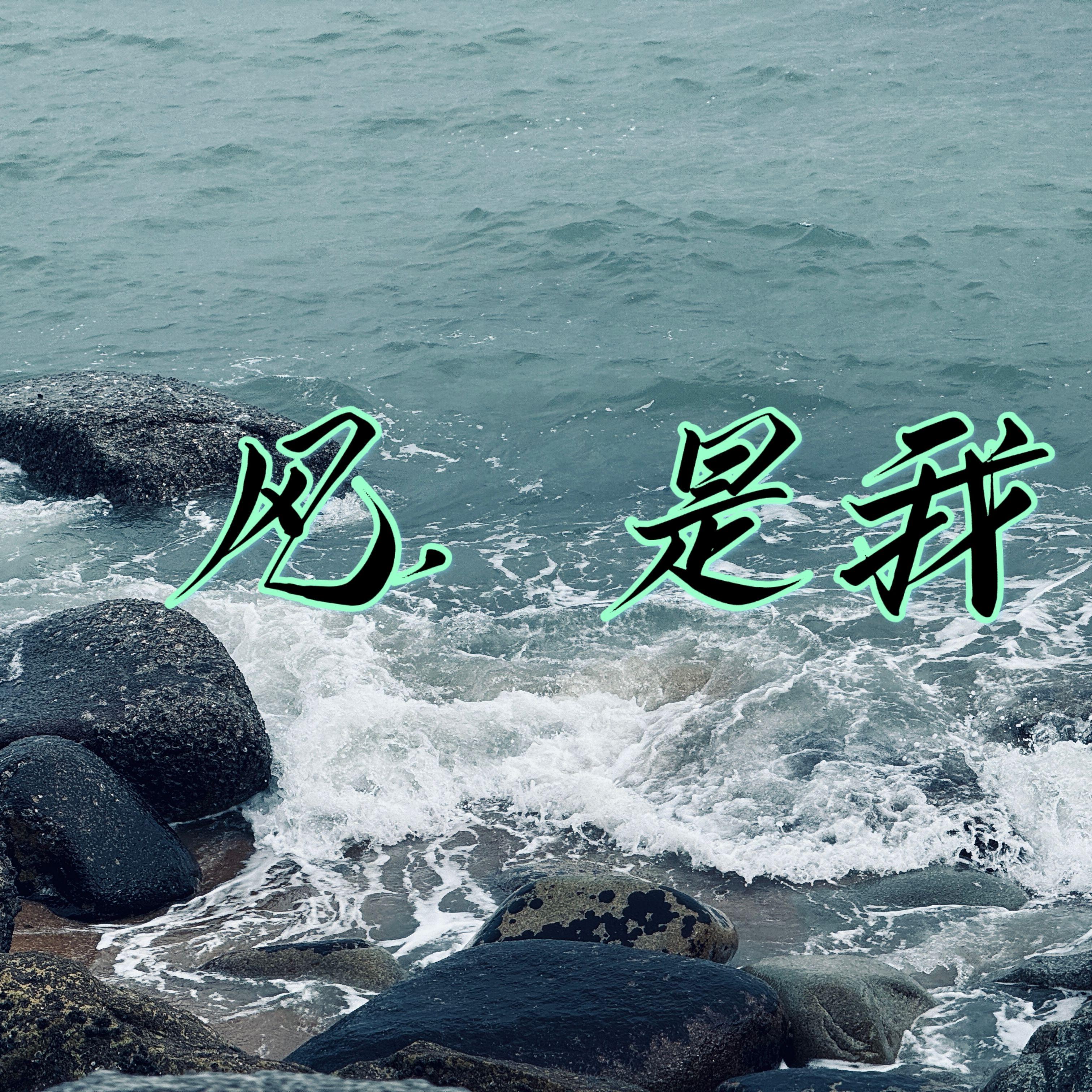 倚风听雨封面