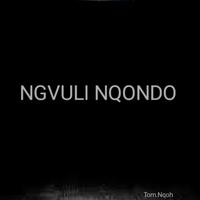 NGVULI NQONDO